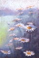 Dance of the Daisies