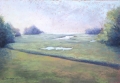 Maine Meadow